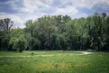 IMG_3584